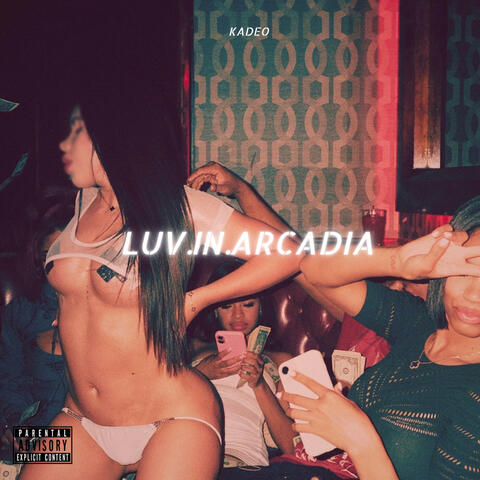 LUV.IN.ARCADIA