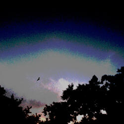 Let Go (Demo)