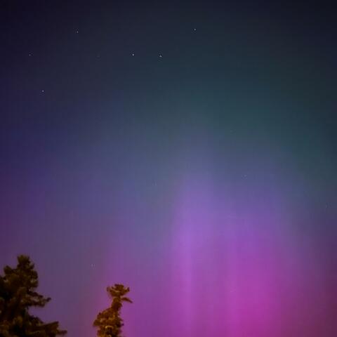 Fallin (feat. Websta)