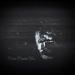 Never Needed You (feat. LaVampk)