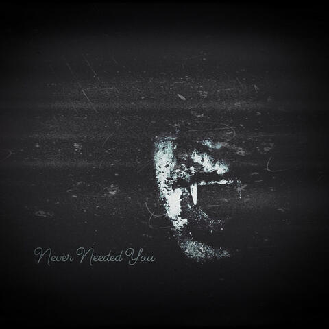 Never Needed You (feat. LaVampk)