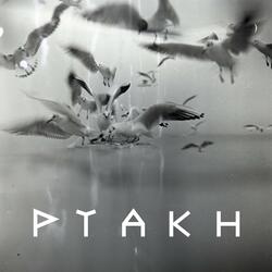 Tatarkah