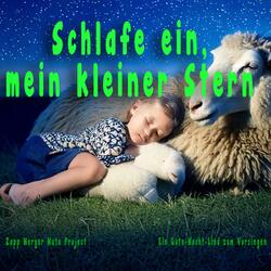 Schlafe ein, mein kleiner Stern