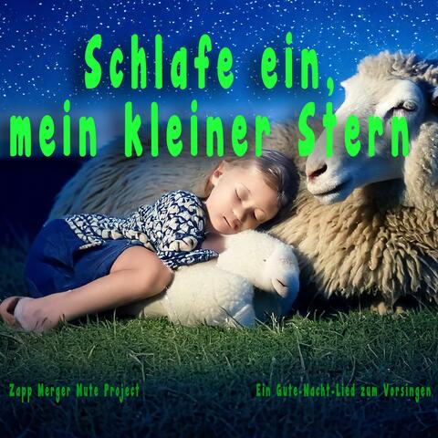 Schlafe ein, mein kleiner Stern