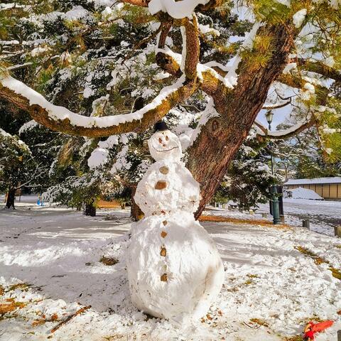 Certain Mellow Winters