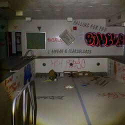 Falling for you (feat. IcarusLurks)