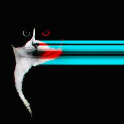 welcome to gothamania .wav (feat. Pablo Sicarra)