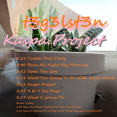 Kaspa Project