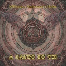 A Cause De Toi (feat. Andromed & Nalès)