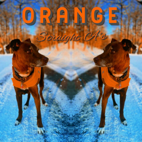 Orange*