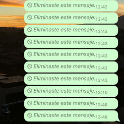 Eliminaste este mensaje.