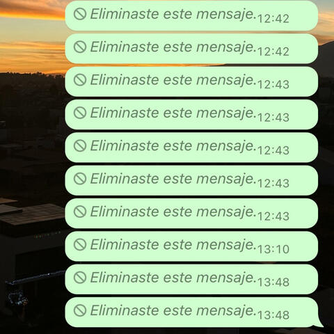 Eliminaste este mensaje.