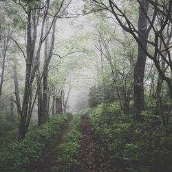 A Song Ain't Worth Nothing