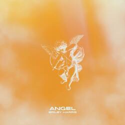 ANGEL (After Hours Version)