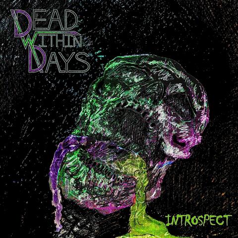 Introspect