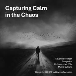 Capturing Calm in the Chaos
