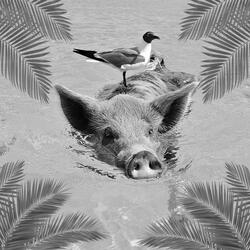 Love, Love, Love (Slowed Version)