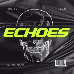 ECHOES