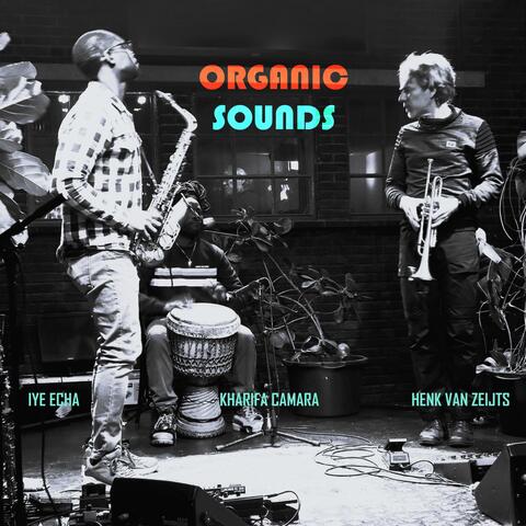 ORGANIC SOUNDS