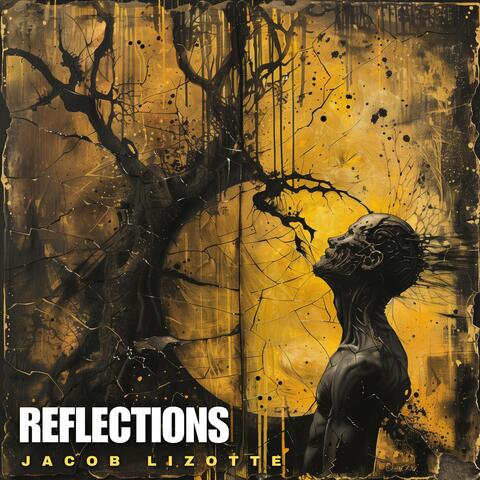 Reflections