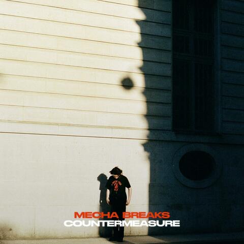Countermeasure