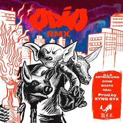 Odio K6 RMX (Remix Version)
