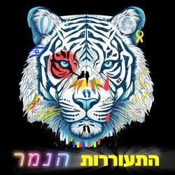 איך אתה נוהג?