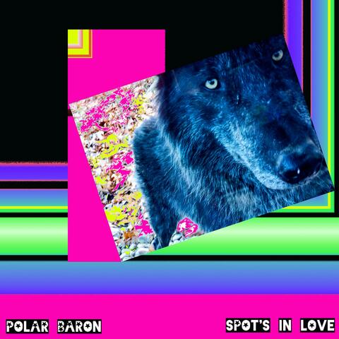 Spot's in Love