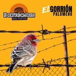 El gorrión palomero