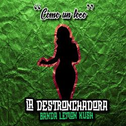 Como Un Loco (De ti me enamoré)