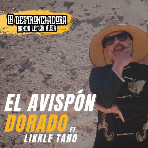 El avispon dorado (con Likkle Tano)