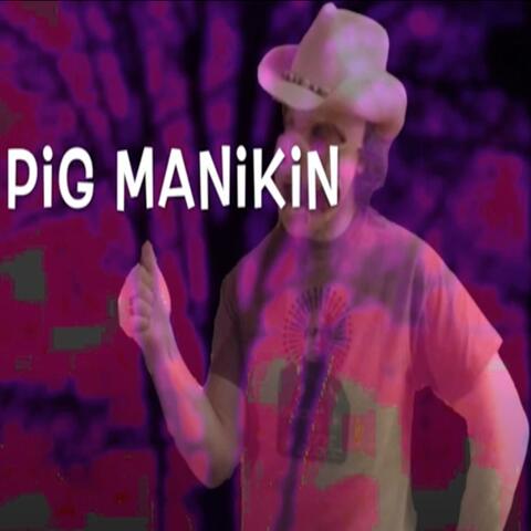 Mark Stanley (Pig Manikin) The Cosmic Dawn