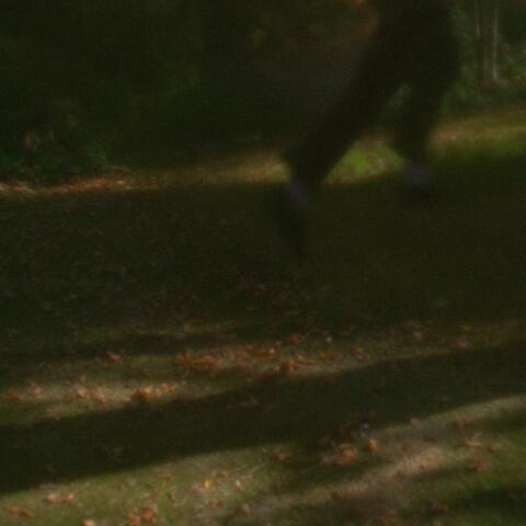 Run !!!