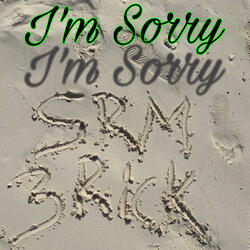 Im Sorry (Official Audio )