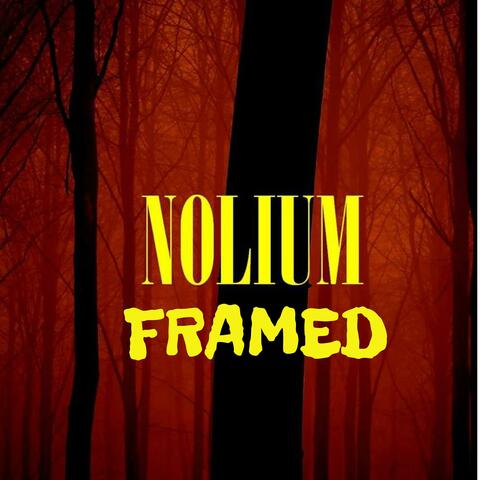 Framed (2014 Demo)
