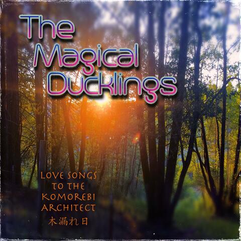 Love Songs to the Komorebi Architect 木漏れ日