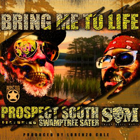 Bring Me To Life (feat. Swamptree Sater)