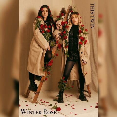 Winter Rose