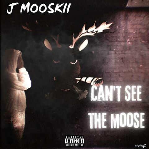 Can't See The Moose