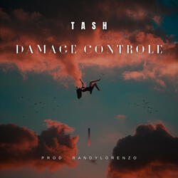 Damage Controle
