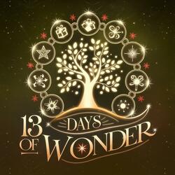 13 Days of Wonder