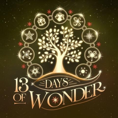 13 Days of Wonder