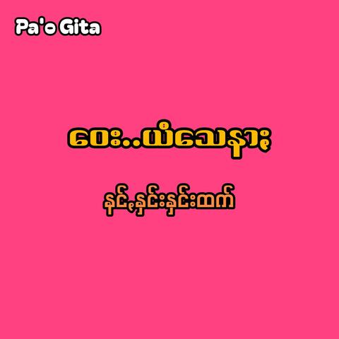 Nang Hnin Hnin Htet (Way Yam Say Nar)