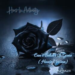 Can't Believe Your Gone