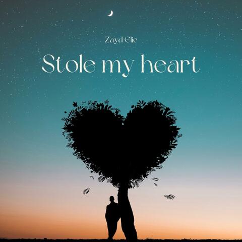 Stole My Heart