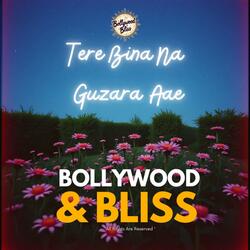 Tere Bina Na Guzara Aae