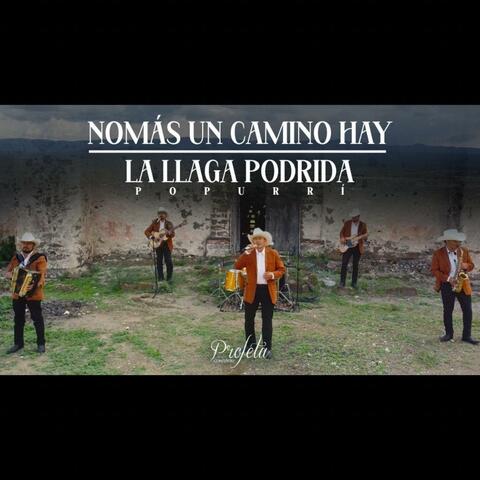 No Mas Un Camino Hay-La Llaga Podrida