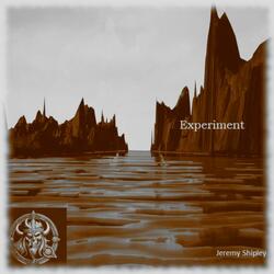 Experiment