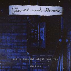 all i thought about was you / shelter (Slowed and Reverb Version)