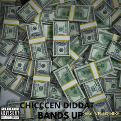 Bands Up (feat. Vello Mike)